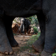 India Elephant Evictors